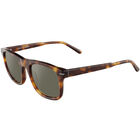 CHARLTON, Classic Tortoise-Mineral Polarized 555nm Silver Cat 3 to 3, hi-res image number null